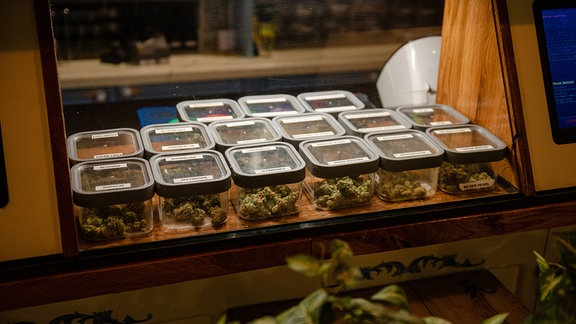 Verschiedene Cannabis-Sorten in der Übersicht in einem Coffeeshop in Amsterdam in den Niederlanden