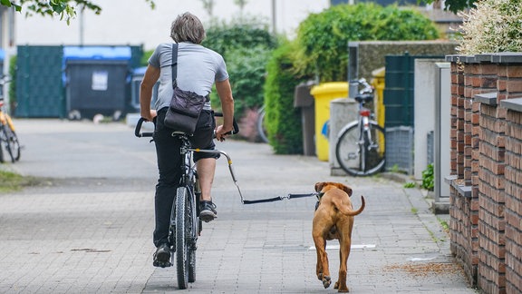 Fahrradfahrer mit Hund an Leinenhalter