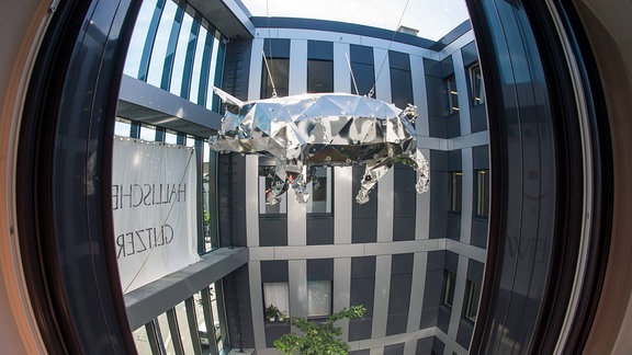 Glitzerschwein hängt im Lichthof des Finanzamt Halle. Das Kunstwerk stammt von dem halleschen Künstlers Marc Fromm und ist von der Straße durch eine Glasfasade zu sehen.