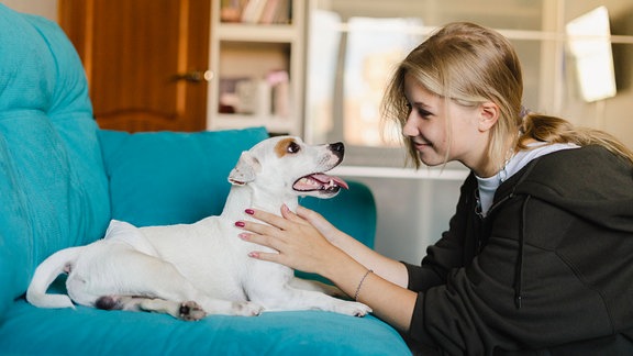 Lächelnde Teenagerin, die zu Hause einen Hund streichelt
