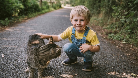 Lächelnder Junge, der sich duckt, während er eine streunende Katze auf der Straße streichelt