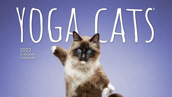 Cat Yoga Kalender