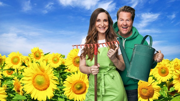 Sonnenblumenwette mit Sarah und Lars