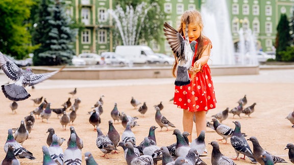 Ein Mädchen füttert Tauben