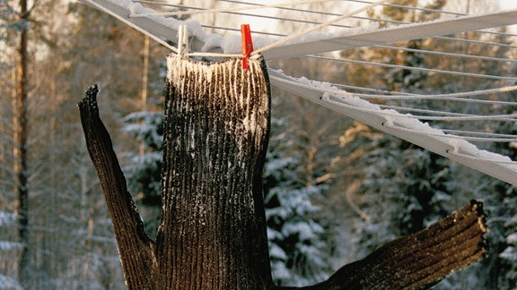 Wool sweater covered in snow whilst hanging on a clothes line