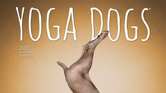 Yoga Dogs Kalender
